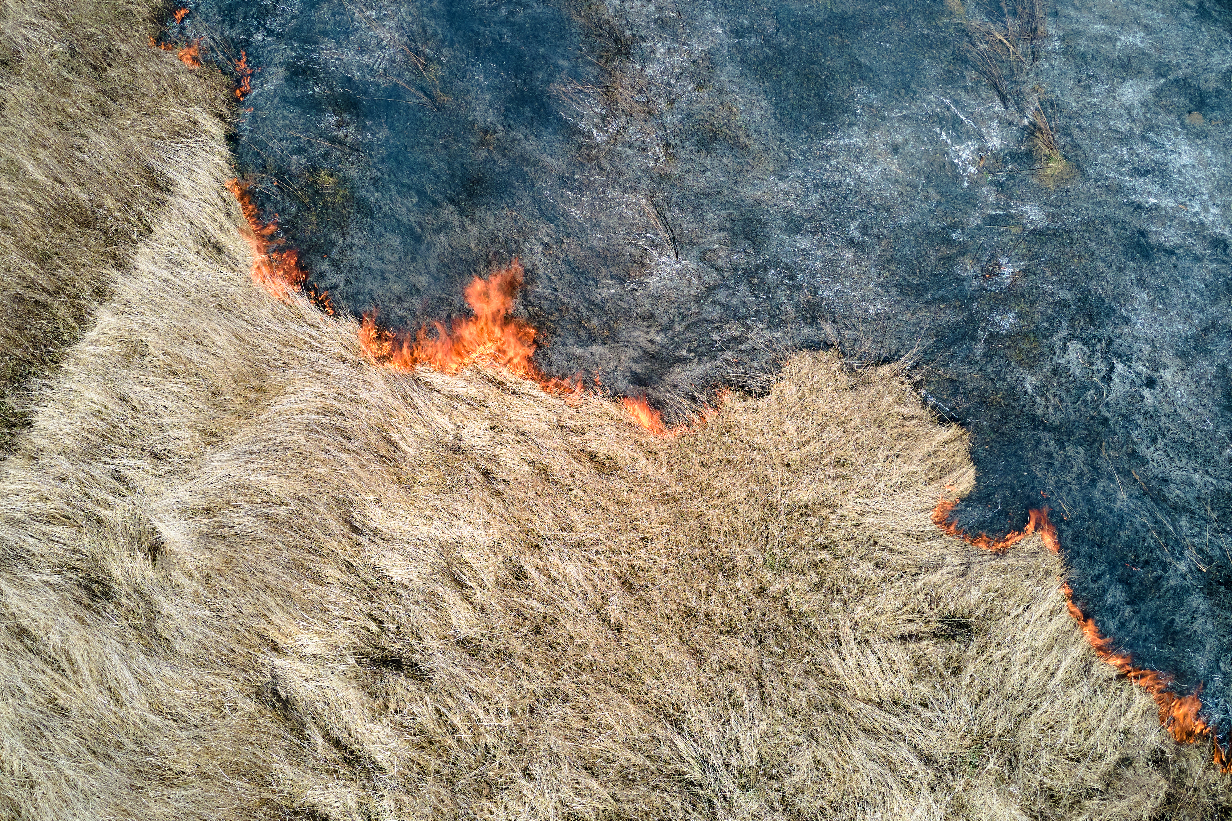 Aerial view of grassland field burning with red fire during dry season. Natural disaster and climate