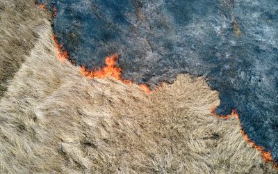 Aerial view of grassland field burning with red fire during dry season. Natural disaster and climate